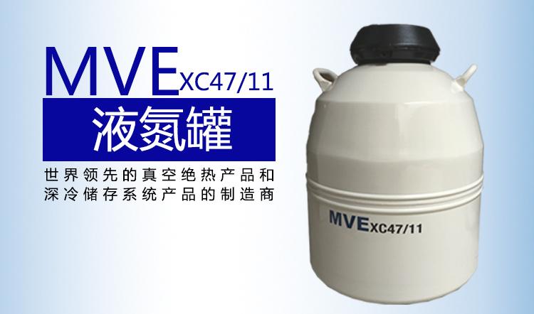 MVE液氮罐CryoSystem 2000